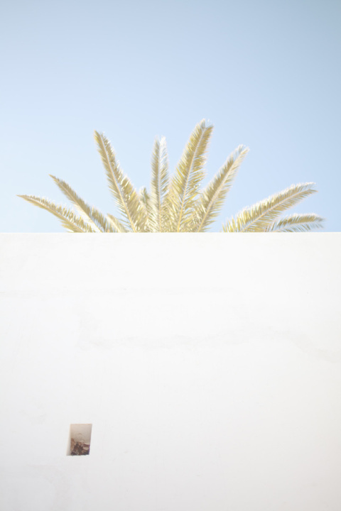 Margaux Roy | PICDIT #photo #photography