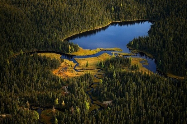 Naturwunder Erde - Wildlife Project by Markus Mauthe for Greenpeace #wildlife #photography #nature