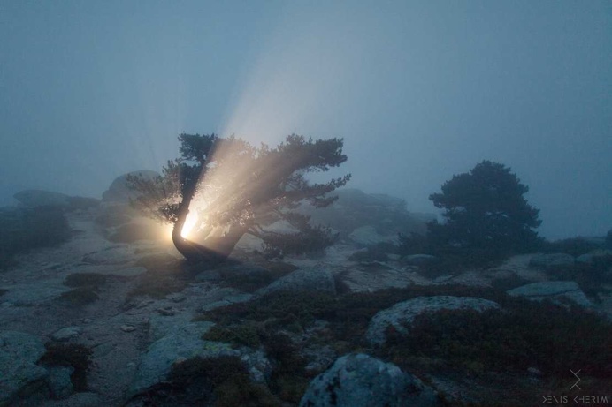 The Coincidence Project by Denis Cherim