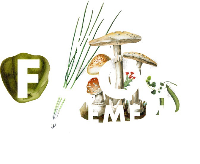 Maine's Local Food Movement