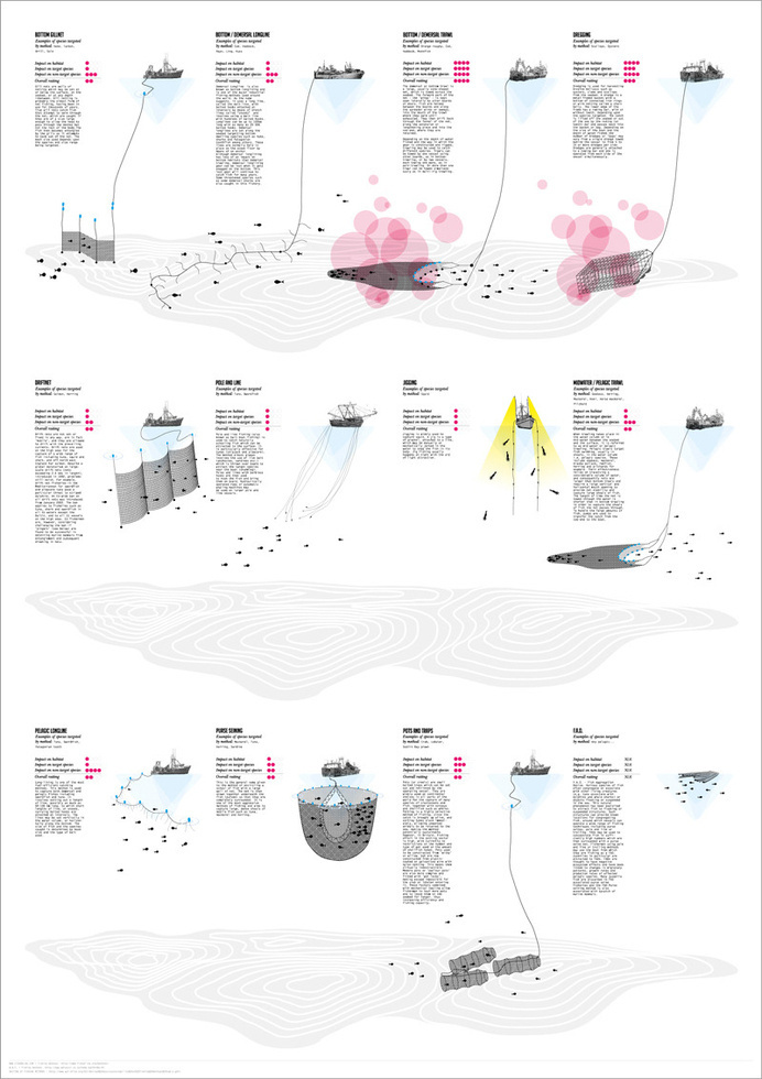 Poster, layout, infographic, fish, statistics, extinction