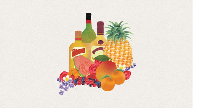 Jam Maker Identity Branding: Gables Delight on Behance - vector illustrations Coral Gables