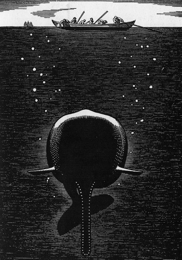 To produce a mighty book, you must choose a mighty theme - but does it float #whale