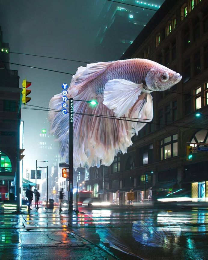 Digital Wonderland: Dreamlike Photo Manipulations by Diogo Sampaio