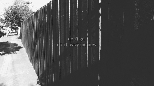 tumblr_l1xqzrudq11qaoueko1_500.jpg 500×281 pixels #photograpgy #typography