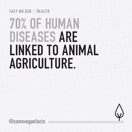 "70% of human diseases are linked to animal agriculture." This also applies to the coronavirus and other forms of SARS. Via @someveganfacts