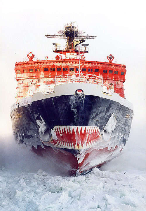 The Death of cool #shark #ship