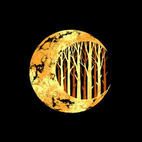 Nature moon #design #space #illustration #nature #art