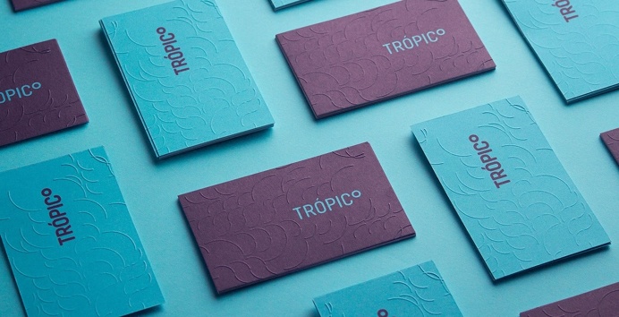 Carlos Bauer and Nicholas Pierre tropico branding blue logotype business card modern simple mindsparkle mag purple stationery minimal