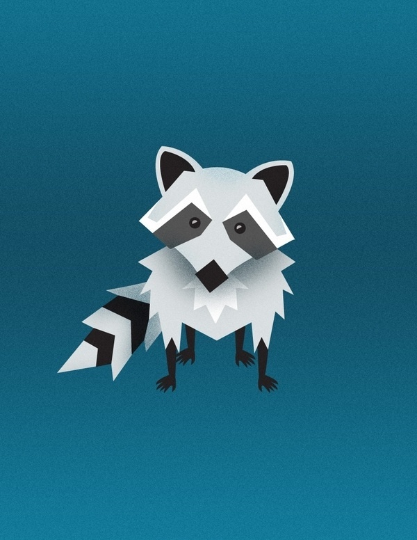 More Illustrations on the Behance Network #raccoon #curious #bold #illustration #animal
