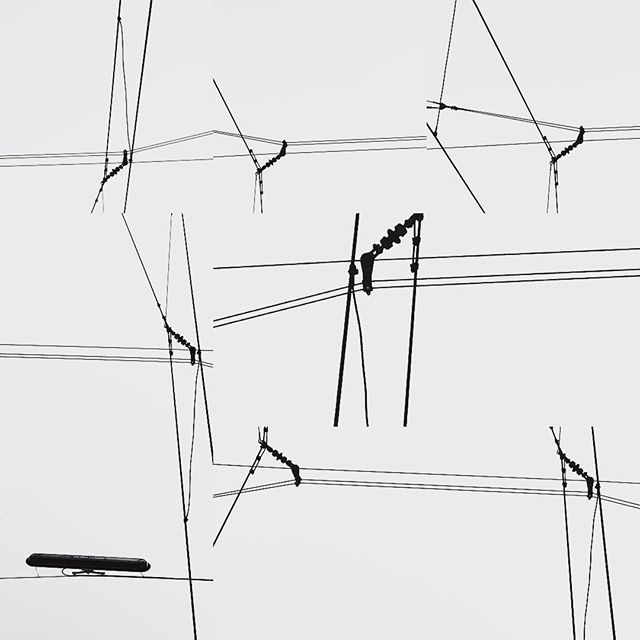 #app (C) [ catrin mackowski ]