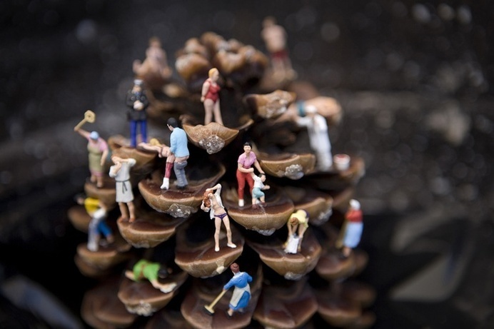 #miniature #photography #suburb
