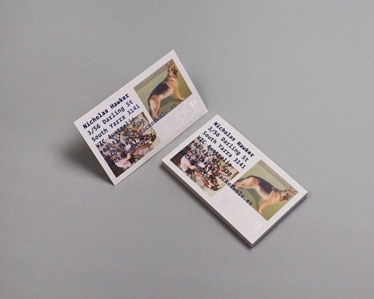 nh_profile.jpg (620×496) #nicholas #card #hamker #identity #visit #dog