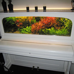 Piano Turned Into An Aquarium #interior #piano #design #decor #aquarium #deco #decoration