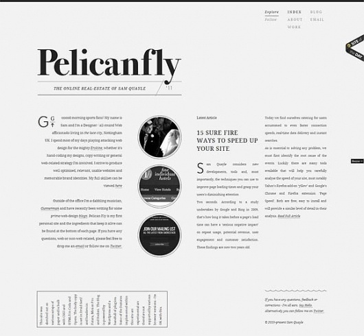 Pelicanfly | Minimal Exhibit #website #clean #typography