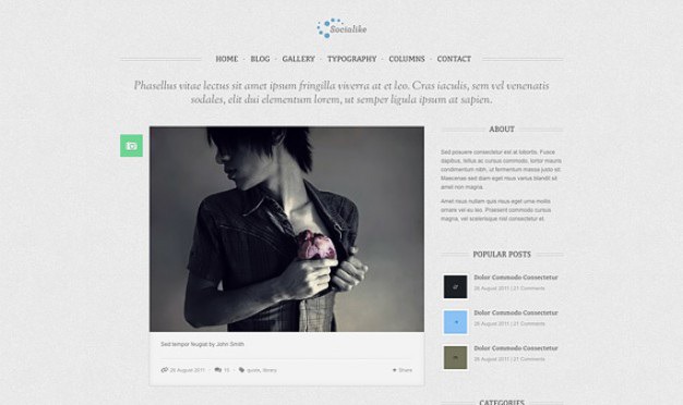 Socialike - html template Free Psd. See more inspiration related to Template, Social, Blog, Gallery, Html, Homepage, Horizontal, Sliders and Styling on Freepik.