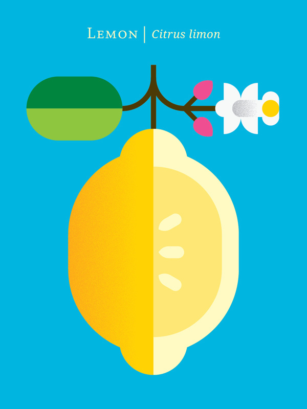 Graphic Fruit Posters by Christopher Dina #flat #design #graphic #fruits #colorful #poster
