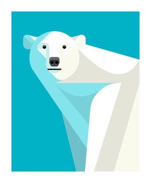 Polar Bear by Josh Brill #icon #iconic #picto #animal #bear #polarbear #geometric
