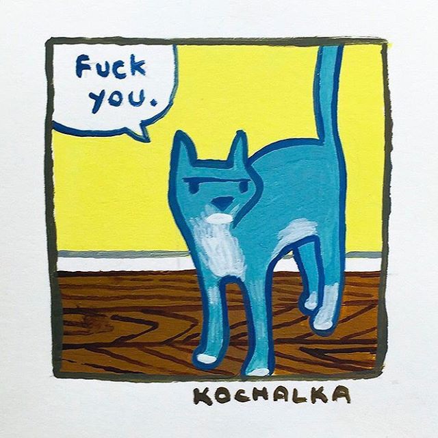 Fuck you by Kochalka #kochalka #cat #illustration #quote #artist #watercolor #design