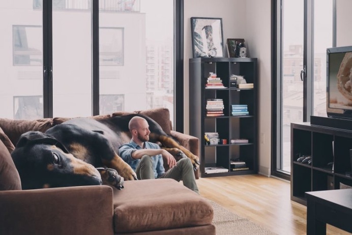 Mitch Boyer Photoshops His Vivian the Dog Into a Giant