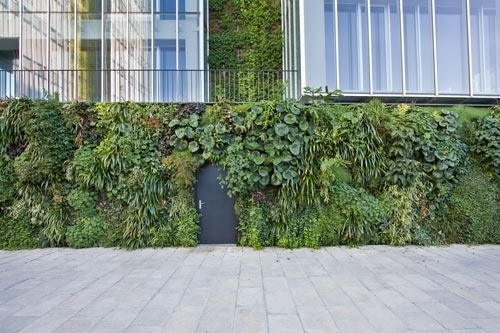 Google Reader (715) #garden #design #vertical