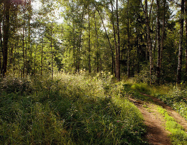 Nature Photography by Andrey Kozlov #inspiration #photography #nature