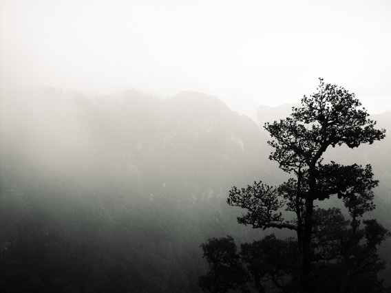 Voyage #photography #himalayas #hills #landscape