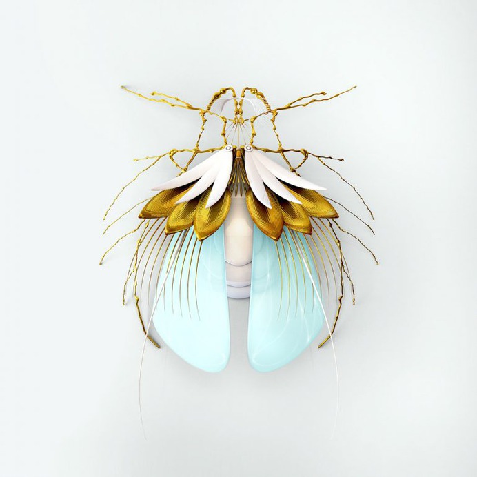 Spring Bugs Series