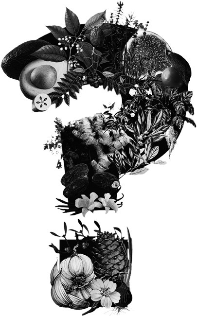 Axel Peemoeller Design #illustration