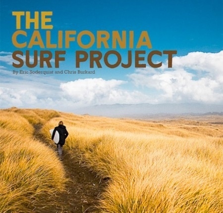 PUBLIC SCHOOL #california #surf