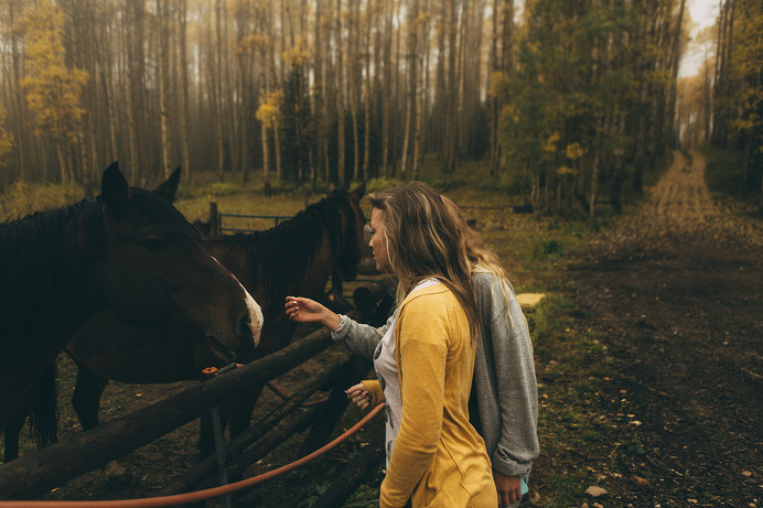 Likes | Tumblr #forest #horse #girl