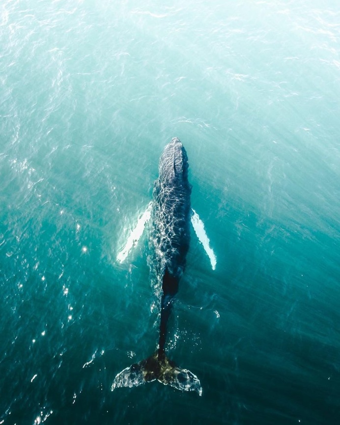 Amazing Instagrams of Iceland by Gunnar Freyr Gunnarsson
