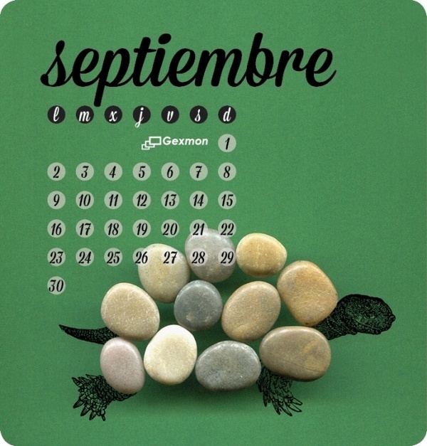 Calendar 2013 #calendar