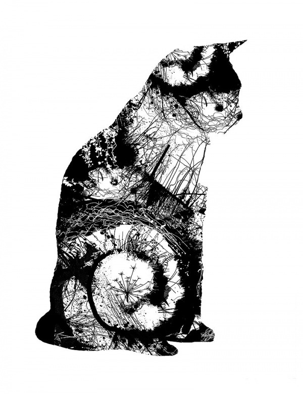 Chris Keegan Illustration and prints #chris #london #print #cat #keegan #londo #illustration #nature #art #graphics #animal #club