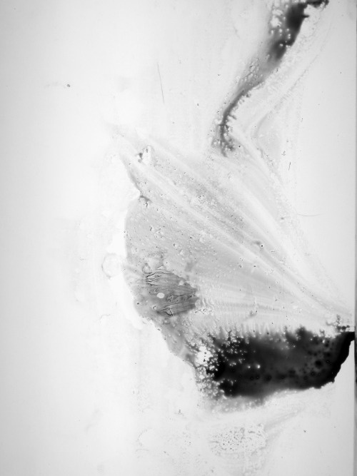 _butterfly_ ink + water + plastic PHOTOGRAPHIE © [ catrin mackowski ]