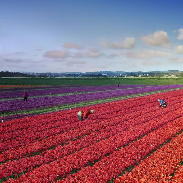 Fine Art Landscape Photography by Stephen Wilkes