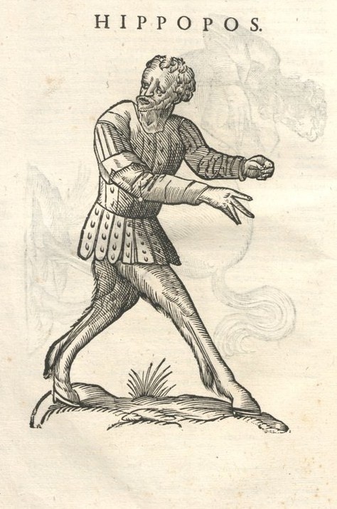 000042 #naturalism #aldrovandi #illustration #latin #ulisse #monster #drawing