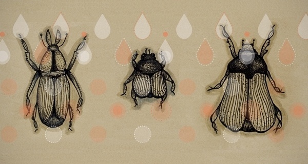 Bugsket on the Behance Network #bugs #pattern