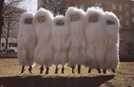 Yay Hooray | the new animated gif thread #wtf