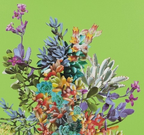Stephen Eichhorn | PICDIT #collage #art