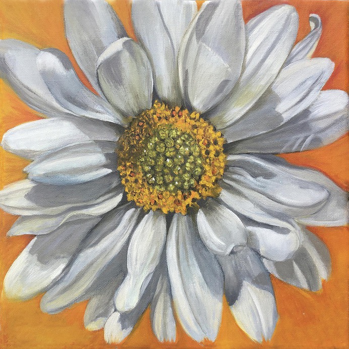 daisy painting & daisy paint by number #painting