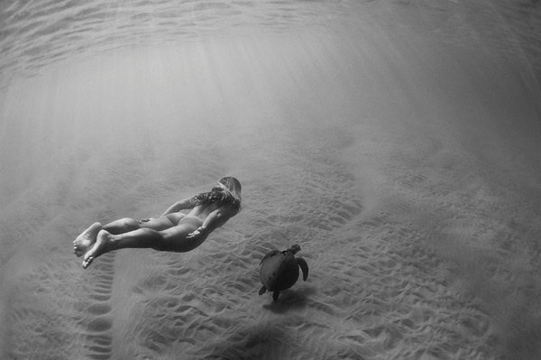 Trent Mitchell Photography #photography #ocean #black and white #nude #turtle #trent mitchell