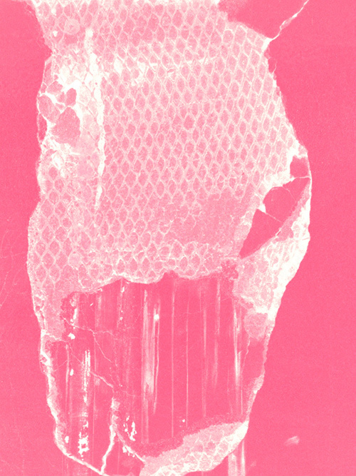 The Strange Attractor #pink #photo #color #bobbleplast #mono
