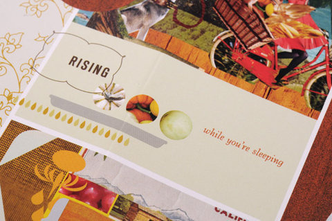 Twofish Baking Company:Â Granolas - TheDieline.com - Package Design Blog #packaging #food