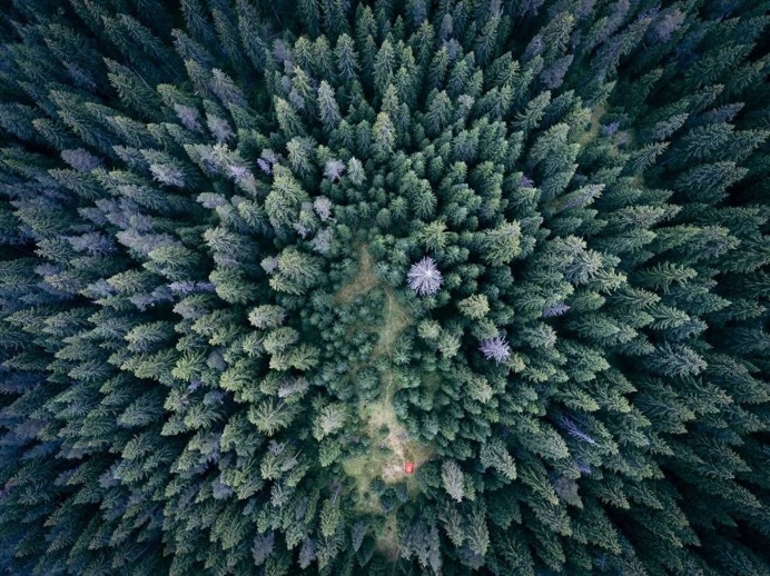Bulgaria From Above by Dimitar Karanikolov