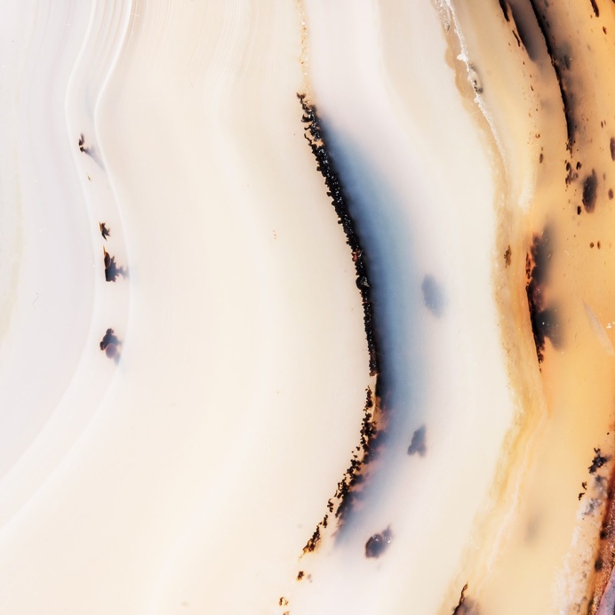 Saida Valenzuela 'Echoes' Microcosms | Trendland