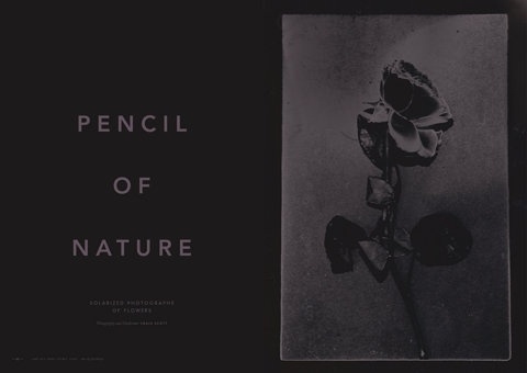 FFFFOUND! #photography #editorial #typography