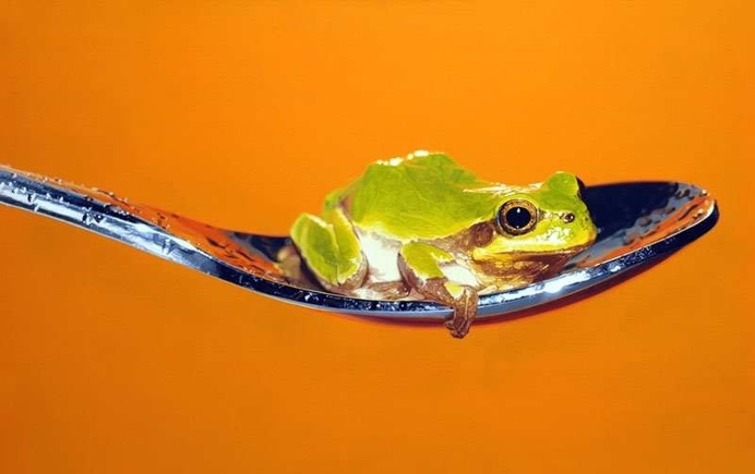 Hyperrealistic Oil Paintings by Young-Sung Kim