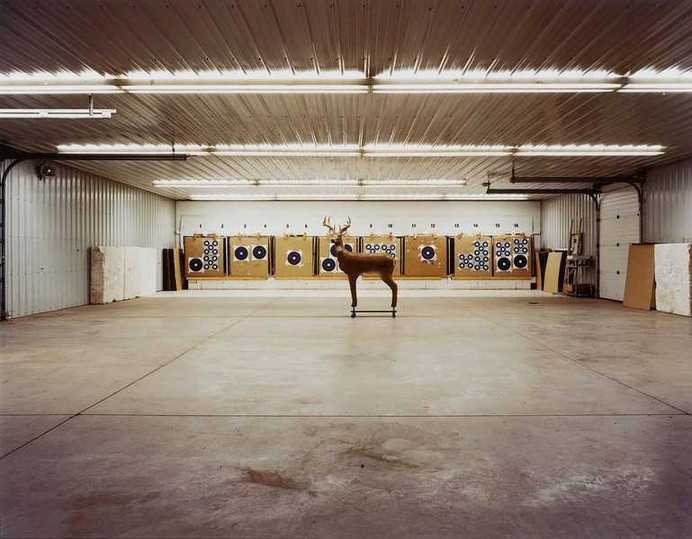 Members Only by Beatrix Reinhardt #inspiration #photography #art