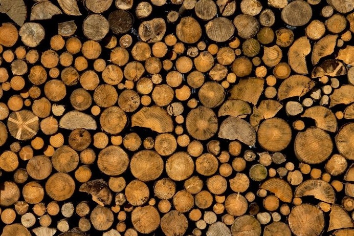 #photography#circle#wood